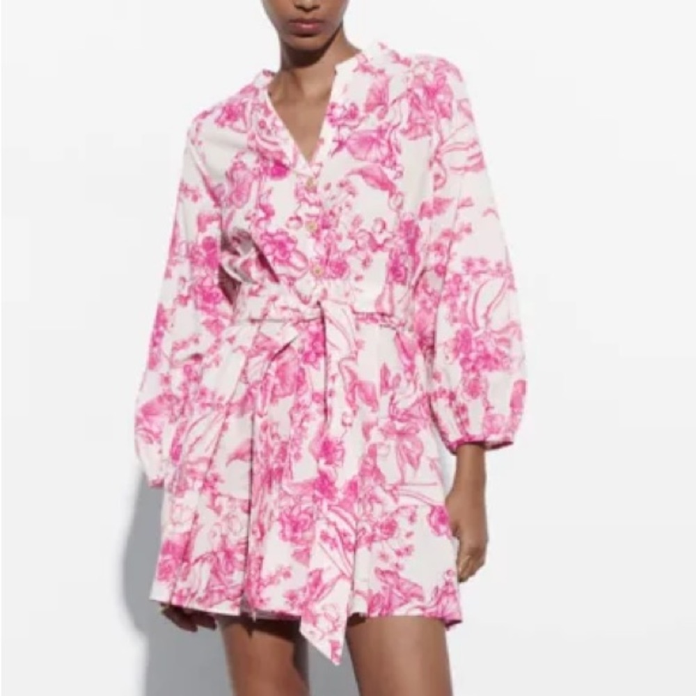 Zara mini belted dress - white and pink toile like print